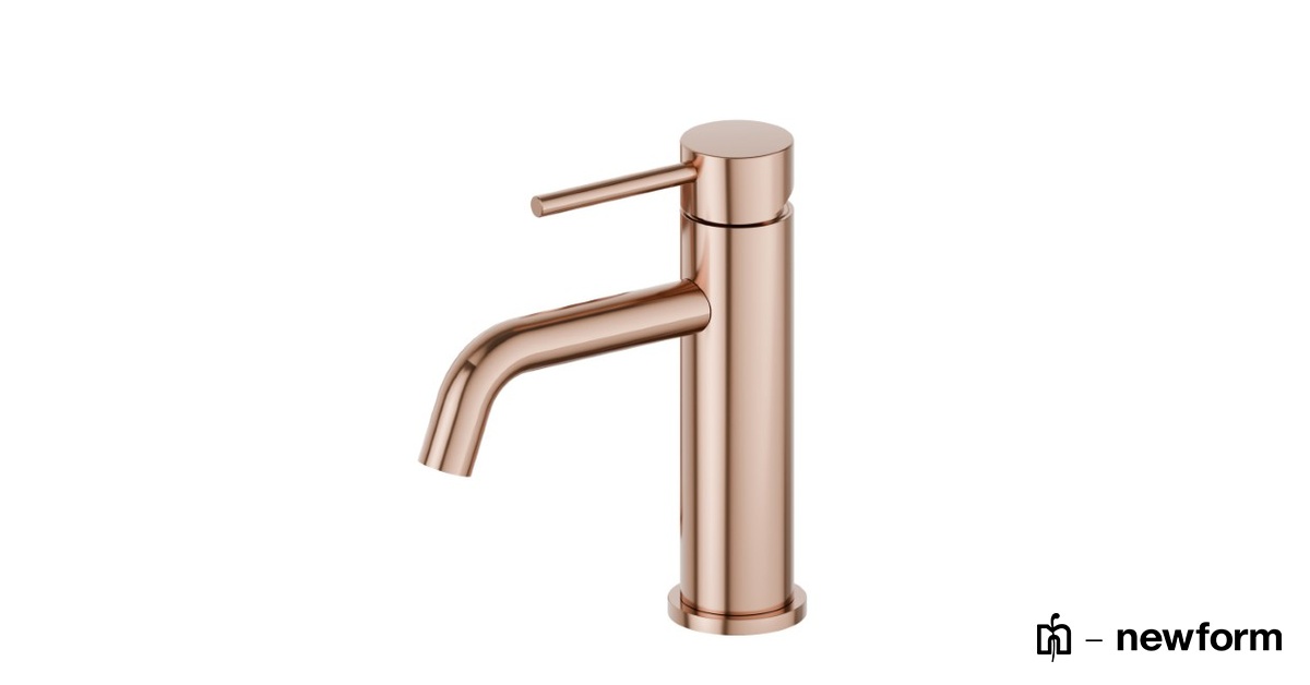 Article 4208.58.061 - Single lever basin mixer - Newform