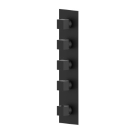 4 ways out concealed thermostatic multifunction selectors. 3/4” connections. External part - finish Matt Black