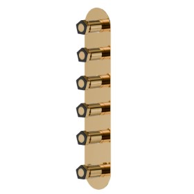 5 ways out concealed thermostatic multifunction selectors. 3/4” connections. External part - finish PVD Glossy Gold - Matt Black