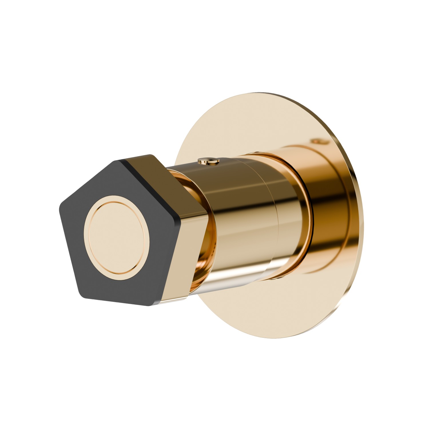 Stop valve. External part. Ø70 - finish PVD Glossy Gold - Matt Black