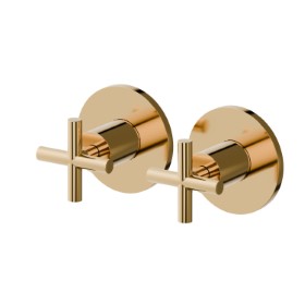Complete concealed shower group with 1/2” in and out connections - finish PVD Glossy Gold