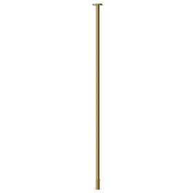 Ceiling spout for basin group with 1/2” connection - finish PVD Glossy Gold