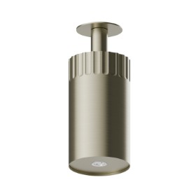 Adjustable Ceiling small head shower, with atomizer. Ø100mm - finish PVD Brushed Pale Gold
