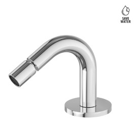 Bidet spout