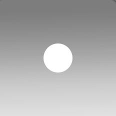Chrome+Matt White